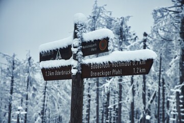 closeup of snowy and frosty road signs marking directions, frozen trees blurred background