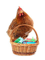 Wall Mural - Chicken with a basket of gifts.