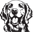 Golden retriever head dog Vector illustration
