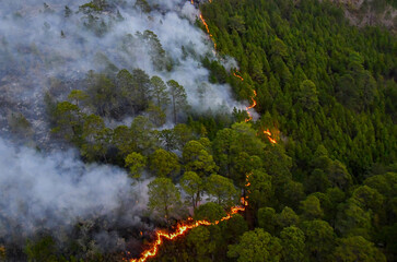 QUEMA DE BOSQUES EN HONDURAS