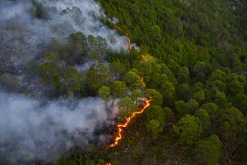 Incendio forestal en Honduras