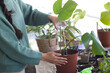 © Wavebreak Media - Midsection of caucasian young woman watering potted plants on table at home