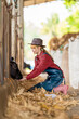 © ND STOCK - Portrait of Happy Asian farmer woman feeding cows in cowshed on dairy farm. Agriculture industry, farming, people, technology and animal husbandry concept.