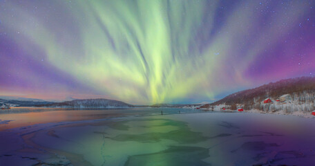Wall Mural - northern lights or aurora borealis in the sky over tromso, norway