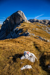 Wall Mural - Mountain path in high mountains	