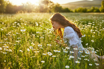 Wall Mural - a beautiful woman in a light dress sits in a field of daisies against the backdrop of the setting sun and inhales their fragrance