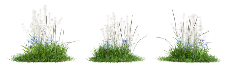 Collection green grass on transparent background 3d rendering png.