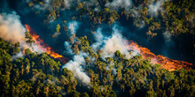 Aerial View Of Tropical Rainforest Deforestation. Illegal Fire Clearing. Burning Forest. Environmental Ecological Problem. Generative AI
