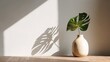 © Sönke Hayen - Minimal, modern white stone counter table, tropical monstera plant tree, sunlight on white wall background for luxury fresh organic cosmetic, skin care, beauty treatment product display generative AI
