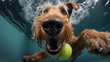 Airedale Terrier Dog Underwater, Generative AI, Illustration