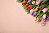Fototapeta Tulipany - Beautiful colorful tulips on pale pink background, flat lay. Space for text