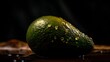 avocado on a dark background
