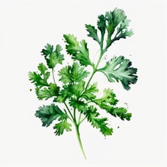 Bunch of parsley on white background. Watercolor illustration. Generative AI.