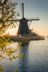 Wall Mural - Morning among the windmills in Kinderdijk - one of the most characteristic places in the Netherlands. The beautiful spring adds charm to this place.