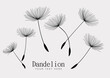 Vector illustration dandelion seed blown in the wind.