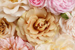Soft and sweet pastel roses for background.