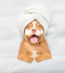 Fototapete - Funny Mastiff puppy with towel on his head and with cream on his face relaxing on the bed at beauty salon. Top down view