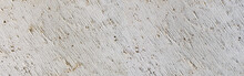 Gerillte Textur In Einer Weißen Kalksteinplatte, Teils Mit Leichten Braunen Verfärbungen