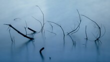 Closeup Shot Of A Serene Blue Lake And Branches Of Dry Plants In The Water