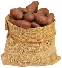 Poster - Potatoes in a sack bag over white background