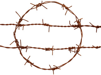 Wall Mural - Rusty barbed wire