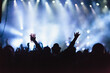 © ADDICTIVE STOCK - Huge crowd on music performance