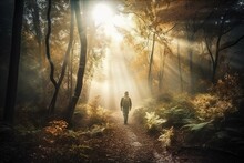  A Person Walking Down A Path In A Forest With Sunlight Streaming Through The Trees On A Foggy Day With Sun Beams Coming Through The Trees.  Generative Ai