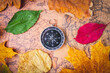 © Verrone - Traveler's compass on map in bright multi-colored autumn leaves. Navigation in autumn.