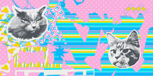 Contemporary Digital Collage Art. Modern Trippy Design. Funny Kitty Heads And Abstract Background