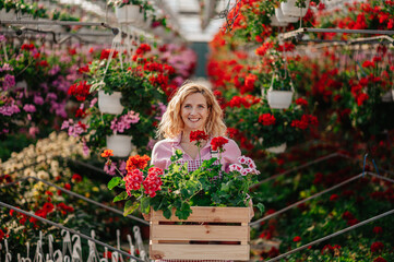 Wall Mural - Young woman working in a greenhouse and holding wooden box full with flowers