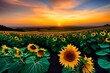 Field of sunflowers illuminated as the sun sets. AI generative illustrations
