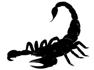 Wall Mural - scorpion silhouette