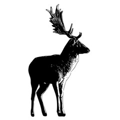 Wall Mural - deer silhouette