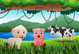 Fototapeta Pokój dzieciecy - Cartoon farm animals in the jungle