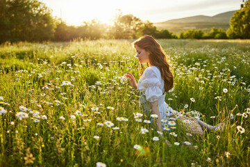 a beautiful woman in a light dress sits in a field of daisies against the backdrop of the setting sun and inhales their fragrance