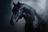 Fototapeta Konie - Portrait of black stallion Horse with long mane. Generative AI.