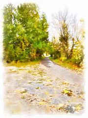 Wall Mural - Autumn road and trees digital painting