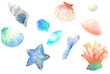 海のイラスト 貝殻 シーグラス ヒトデ