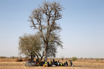 Wall Mural - Members of a women's microfinance cooperative reimbursing their loans under a tree in Northern Togo.