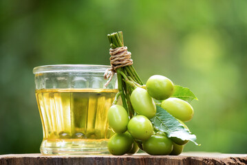 Neem or azadirachta indica fruits and oil on nature background.