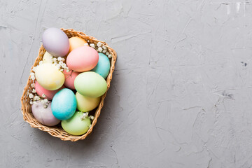 Happy Easter composition. Easter eggs in basket on colored table with gypsophila. Natural dyed colorful eggs background top view with copy space