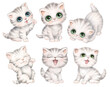 Set of Cute tabby British kittens. Kitty Cat poses collection, Hand drawn watercolor digital illustration. Cartoon baby pet animals