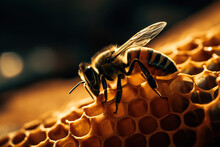 Detailed Macro Image Of A Bee Collecting Honey In A Beehive Generative Ai. Bee On A Honeycomb In A Hive