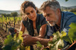 © nenetus - Couple of winegrowers picking grapes while watching the growth of the crop in the vineyard. Generative Ai