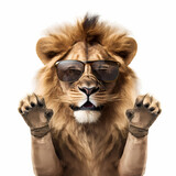 Fototapeta  - Lion Using Cool Eye Glasses. Generative AI