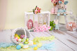 © Andreja Donko - Easter decoration with bunnies and Easter eggs