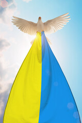 Leinwandbilder - White Dove holding Ukraine flag Flying on blue sky to independence , freedom ,Pray for Ukraine and No war concept