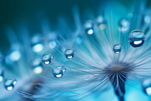 Macro Drops Of Water On Fluffy Dandelions. Generative AI.