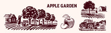 Apple Orchard Vector Illustration Set, Apple Farm, Apple Harvest, Apple Picking In Apple Orchard. 