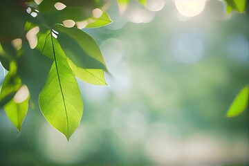 Canvas Print - Green leaf nature for wallpaper and background, Yellow color with copy space using as background natural green plants landscape. Generative Ai.